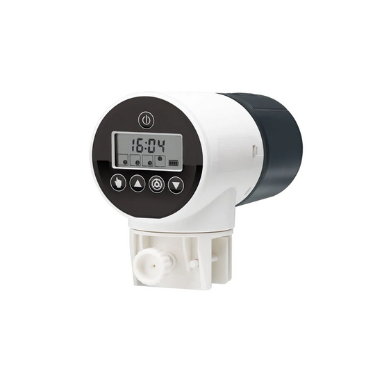 Automatic Fish Feeder